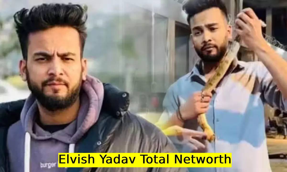 Elvish Yadav Total Networth