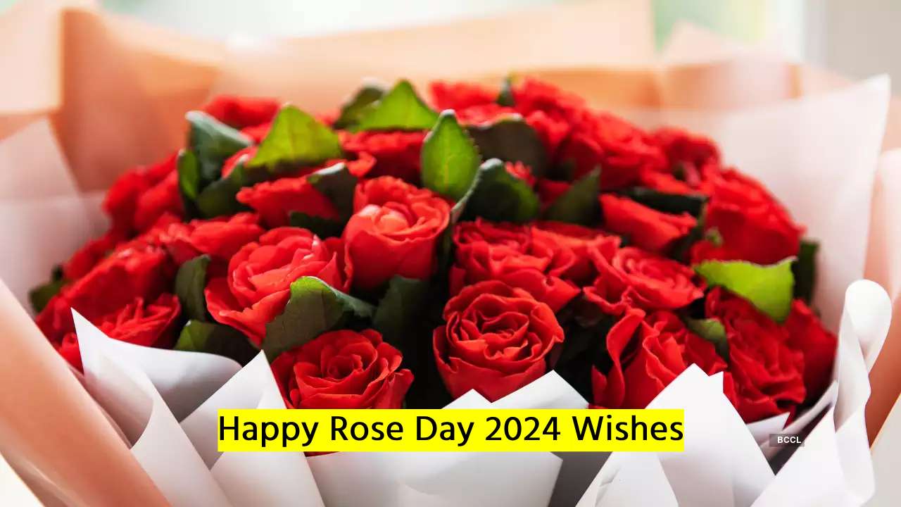 Happy Rose Day 2024 Wishes